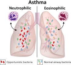 This week, the citizen science program coralwatch held their annual workshop at the station. Inflammatory Phenotypes In Patients With Severe Asthma Are Associated With Distinct Airway Microbiology Journal Of Allergy And Clinical Immunology