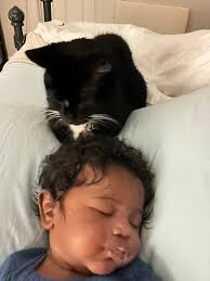 Black People Love Cats Too!