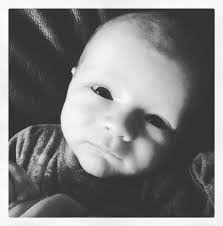 Columbine Cakes and Creations