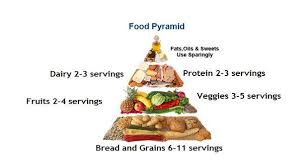 Healthy Plate Replaces The Food Pyramid In Singapore Thehealthsite Com Food Homemade Recipes Healthy Dog Treat Recipes