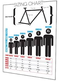 bike fitting vs bike sizing two pivotal aspects of cycling