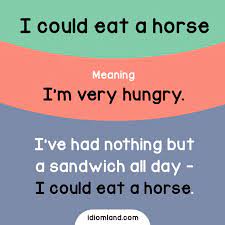 Idiom Of The Day I Could Eat A Horse Meaning I M Very Hungry Example I Ve Had Nothing But A Sandwi English Idioms English Vocabulary Words Learn English