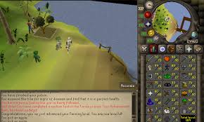 There currently are 2 types of pets in runescape: Got The Farming Pet At 40 Farming 37k Xp 2007scape