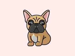 French Bulldog Final French Bulldog Drawing French Bulldog Cartoon French Bulldog Wallpaper