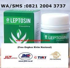 Pin On Obat Pelangsing Leptosin