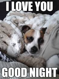 Image Tagged In Couches Memes Imgflip