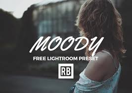 Adobe photoshop lightroom classic 2021 free download overview. Free Lightroom Preset Moody By Retouchingblog On Deviantart