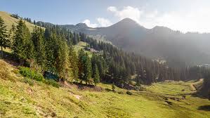 Mit dem haflinger von hallstatt über die rossalm zum gosausee. Uber Den Geigelstein Auf Die Rossalm Reisefestival De
