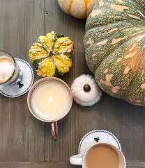 Check spelling or type a new query. Kayla Ewell On Twitter Me Determined To Give Thanksgiving A Chance Vs Every Commercial On Television