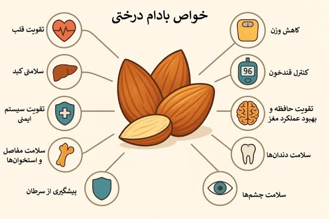 خواص بادام درختی برای درمان و بهبود انواع بیماری | آجیل منوچهری