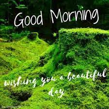 Maybe you would like to learn more about one of these? 150 Fresh Beautiful Good Morning Images With Nature