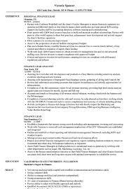 Chief financial officer (cfo), evp/svp of finance, director of common user support & services job titles: Finance Lead Resume Samples Velvet Jobs