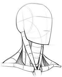 8 Neck Drawing Ideas Anatomy Drawing Drawing Reference Neck Drawing Did you scroll all this way to get facts about throat knife? 8 neck drawing ideas anatomy drawing