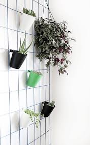 These common indoor hanging plants prefer moderate sunlight and do well next to a window but they will adapt to slightly shadier conditions, too. Make This Super Easy Diy Hanging Plant Wall Wall Plant Hanger Indoor Plant Wall Hanging Plant Wall
