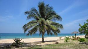 Transport yourself back to a time before phones and email, engage in a digital detox to rediscover the value of time spent together. Sibu Island Wikitravel