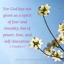 These bible verses will bring that early morning gratitude that we need to get inspired in the beginning of the day. Powerful Morning Verses To Start Your Day Raise Your Sword