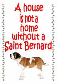 Saint bernards originally worked as avalanche search and rescue dogs because of their incredible sense of smell and strong build. Dog Breeder Riverdale Mi Dog Breeder Michigan Puppy Pawz Michigan Puppypawzmichigan Com