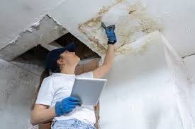 Emergency Roof Repair: What to Do in the First 24 Hours ⋆ Constructive  Solutions, Inc.