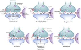 Image result for Acamprosate