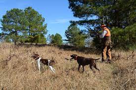 Hunting Preserves Offer A Safe, Accessible Experience - Carolina Country