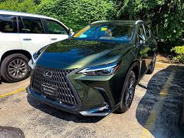 Image result for Nori Green 2022 UX