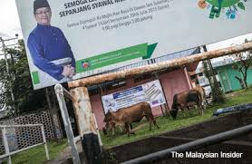 Selain mengendalikan seminar pmr itu, katanya, bank rakyat membelanjakan lebih rm77,000 bagi pemberian zakat kepada 700 murid sekolah rendah dan pelajar sekolah menengah di kota belud tahun ini. Kota Belud The Cowboy Town With Two Federal Ministers The Edge Markets