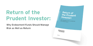 The definition of prudent is someone who has good judgment and is careful and practical. Blog Vergercapital Com Hubfs Return Of The Prud