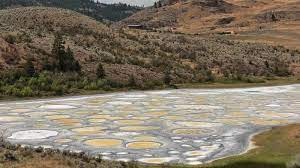 Pictures of the fire on the side of the highway, near spotted lake, show brush and trees catching fire. The Mystery Of Canada S Magical Spotted Lake