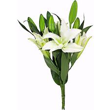 Maybe you would like to learn more about one of these? Central Market White Oriental Lilies 3 Stem Bunch Central Market