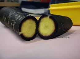 12 Graines De Cardamome Elettaria Cardamomum Cardamom Seeds Semillas Semi Ebay Carrot Seeds Seeds Black Carrot