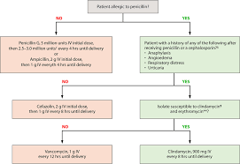 Image result for Group B Streptococcus Prophylaxis