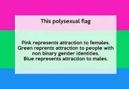 What does polysexual mean?