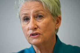 Wentworth byelection: Liberals attack Kerryn Phelps with 'nasty pamphlets' 