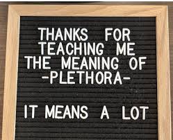 Thanks For Teaching Me The Meaning Of Plethora It Means A Lot In 2020 Funny Quotes Message Board Quotes Quotes