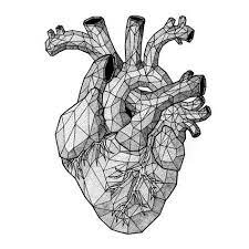 The Heart Mgns Dibujo De Corazon Humano Dibujos De Corazones Dibujos
