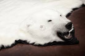 Select your carpets for sale from a plethora of designs on alibaba.com at affordable prices. Polar Bear Skin Rugs Furcanada