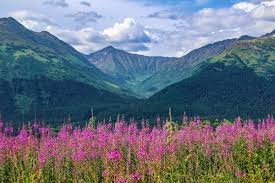 Alaska is the largest state in the united states in land area at 570,374 square miles, over twice the size of texasmount mckinley, or denali the high one. Anchorage Mountains
