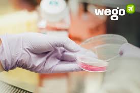 The companies require all customers to fill out an intake survey that is meant to prioritize the test for those who may have been. Covid Test Dubai Sharjah Abu Dhabi Etc Where To Get Free Test Pcr Dpi Test For Corona Last Updated 4 January 2021 Wego Com
