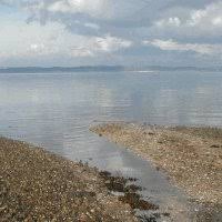 co2 sinks oceans