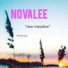 Novalee Novalie Novaleigh New Meadow Or New Field Girl Name Names Character Names Baby Names