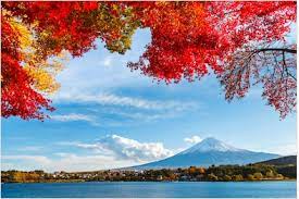 Meilleures Arriere Plan Virtuelles Gratuites Pour Teams Et Zoom Japan Landscape Scenery Wallpaper Landscape Wallpaper