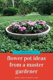 Flower Pot Ideas From A Master Gardener With Deer Resistant Flowers Master Gardener Flower Pots Deer Resistant Flowers