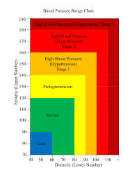 2019 Blood Pressure Log Chart Fillable Printable Pdf