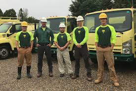 Tree Service and Shrub Care in Nantucket, MA