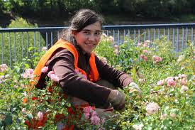 Sie suchen ein gartenbaubetrieb in hamburg? Berufsausbildung