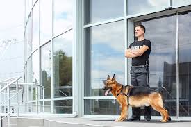 That's why it's ideal if you need more space or flexibility to. Security Guard Cv In Wellington Somerset Security Guard In Wellington Call 01823 765286