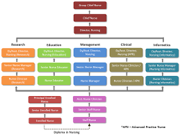 Nurses Career Path Singhealth