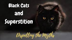 Black Cats And Superstition Defy Superstition Today The Bobtail Kitty Blog Black Cat Superstition Black Cat Cats In Ancient Egypt