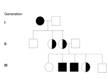 How To Create A Pedigree Chart In Word Ancestry Tree Chart