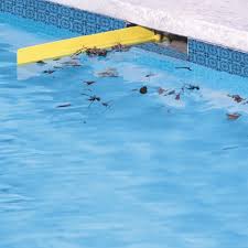 Pool supplies superstore has amazing sales all through the year. Trap It Pool Skimmer The Pool Supplies Superstore Pool Supplies Superstore